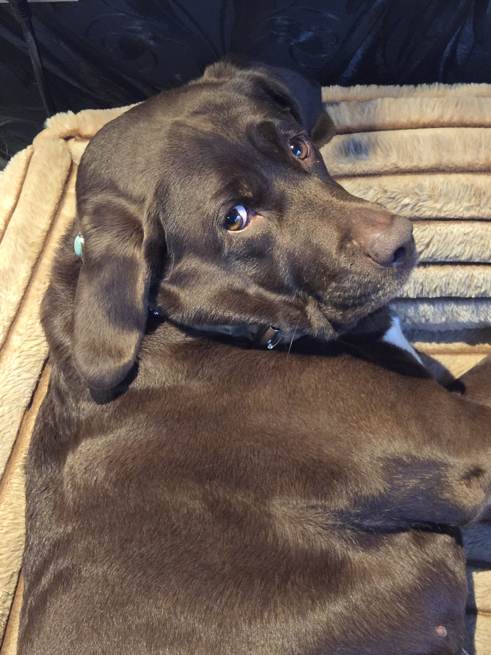 Warum SelbstFürSorge so schwer ist