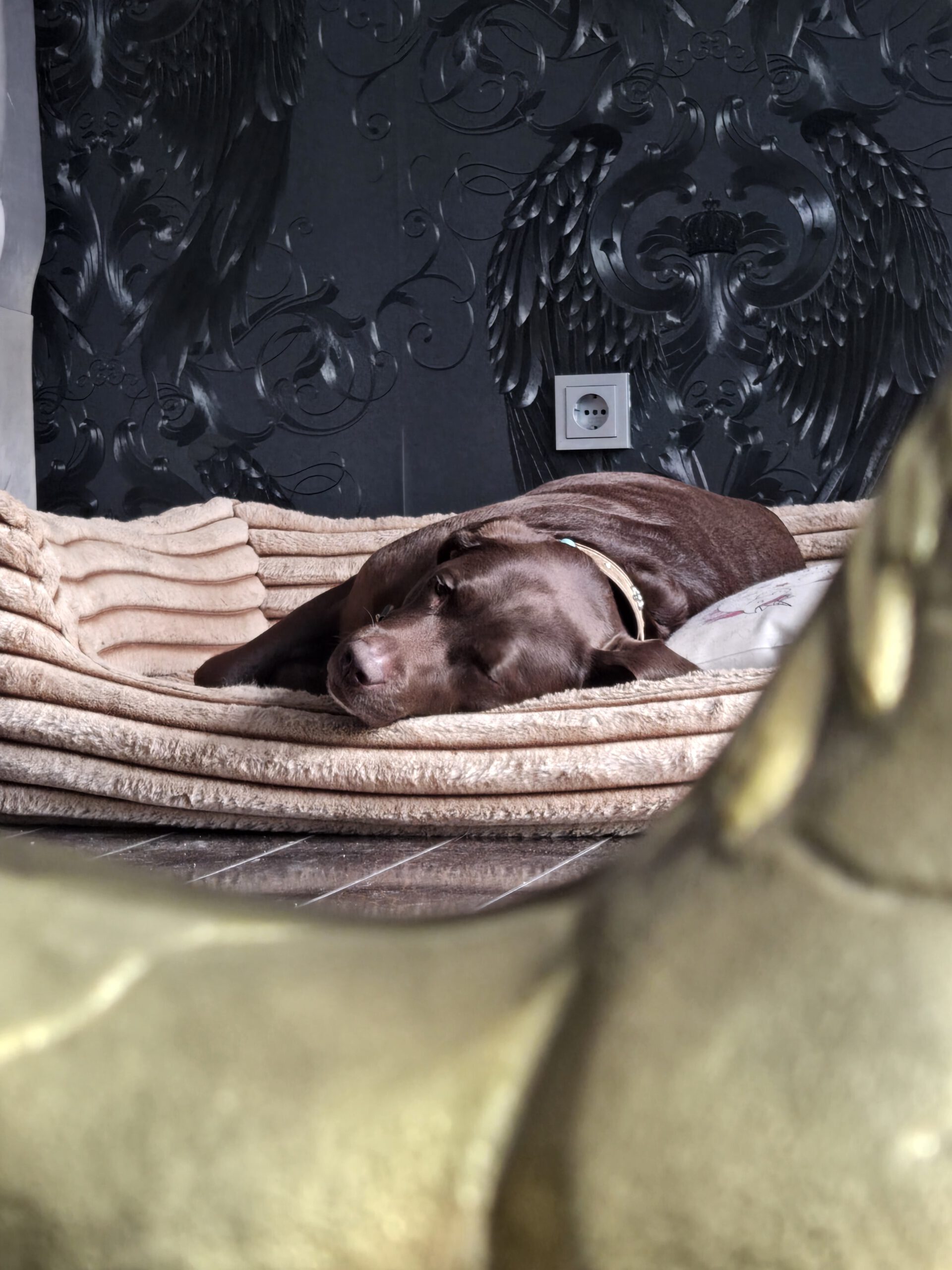 Mehr als „nur“ ein Tier