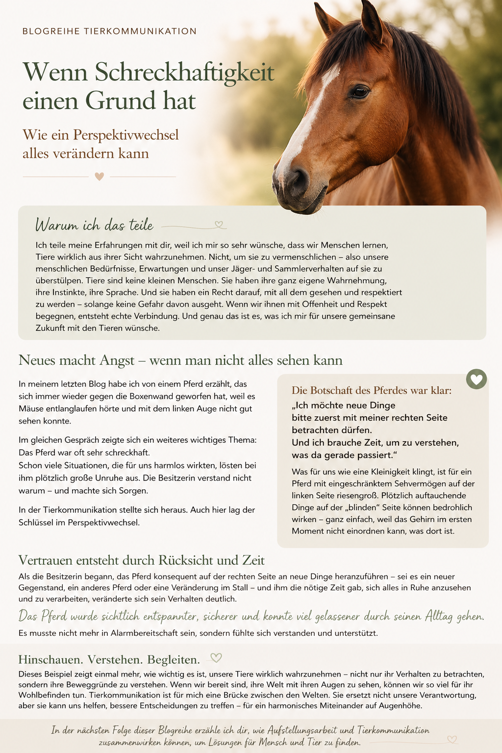 möchtest Du das auch können?